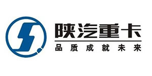 陜汽德龍F3000-300